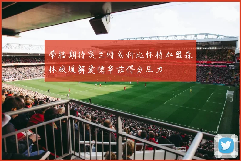 蒂格期待莫兰特或科比怀特加盟森林狼缓解爱德华兹得分压力