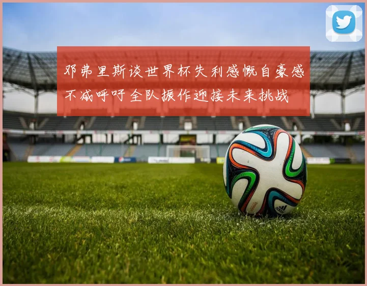 邓弗里斯谈世界杯失利感慨自豪感不减呼吁全队振作迎接未来挑战